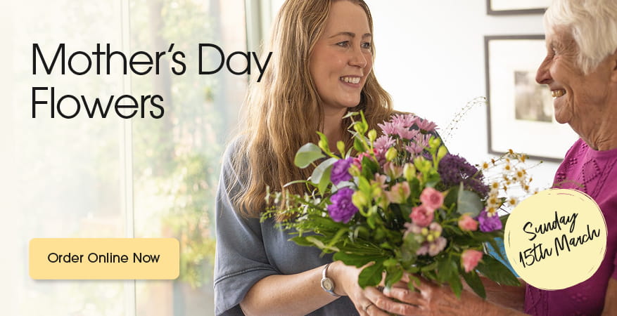 Seasonal bouquets from Daffodillys in Birmingham offering same-day delivery